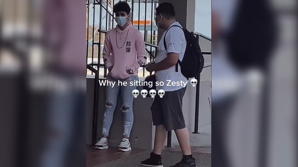 Zesty (Slang) meme template - Zesty