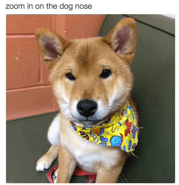 Zoom In meme template - Zoom In