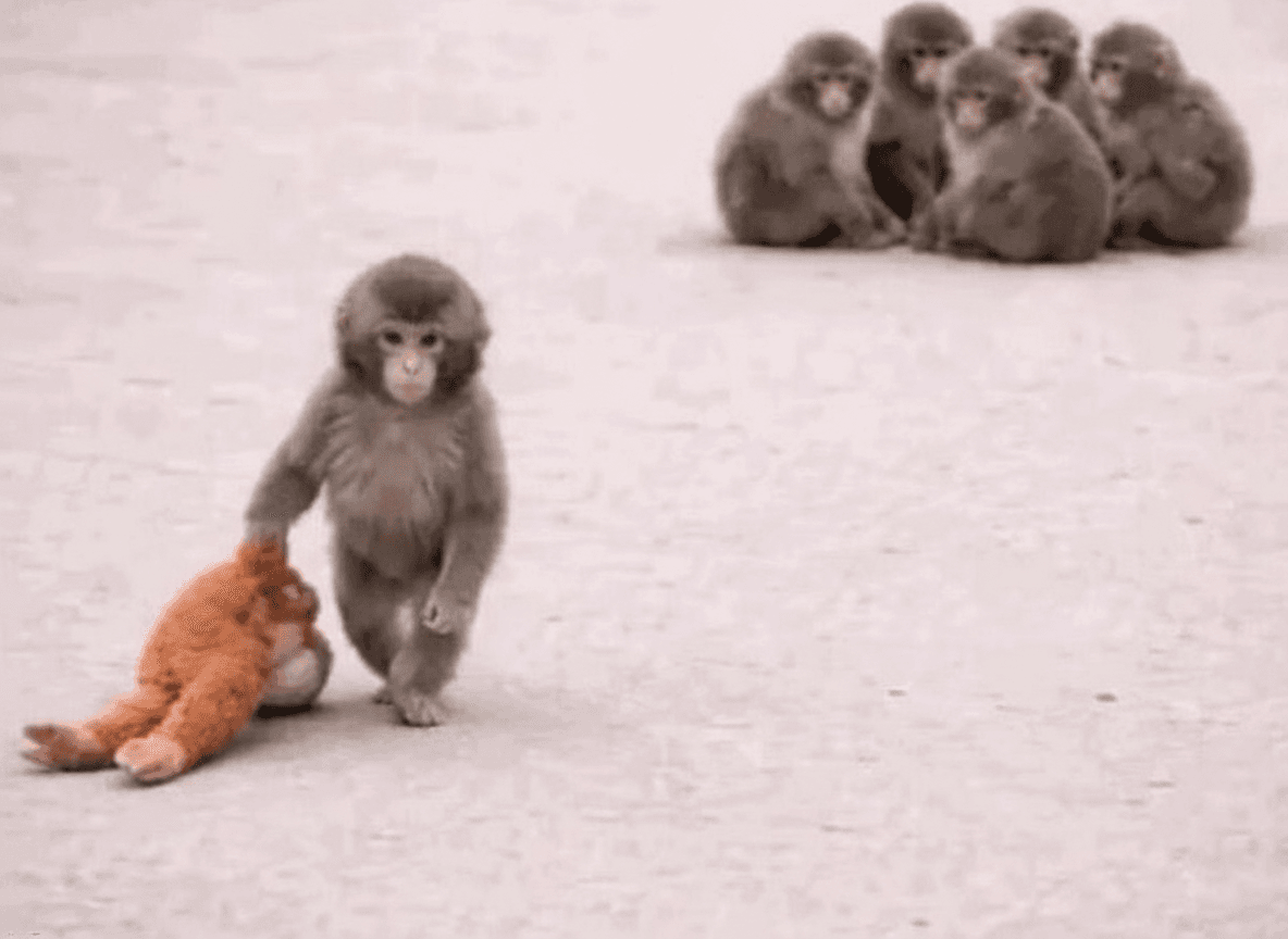 Sad Monkey Dragging Toy